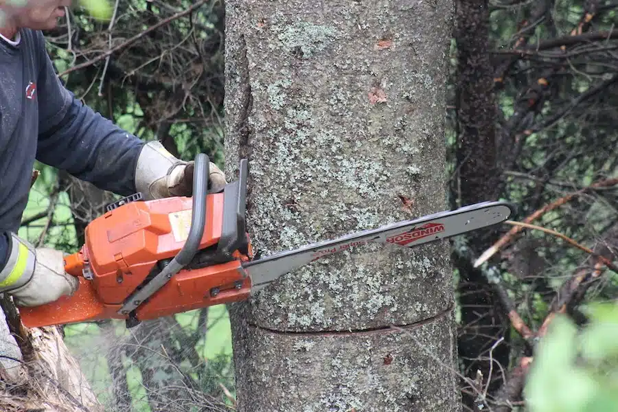Comment abattre un arbre en toute sécurité ?